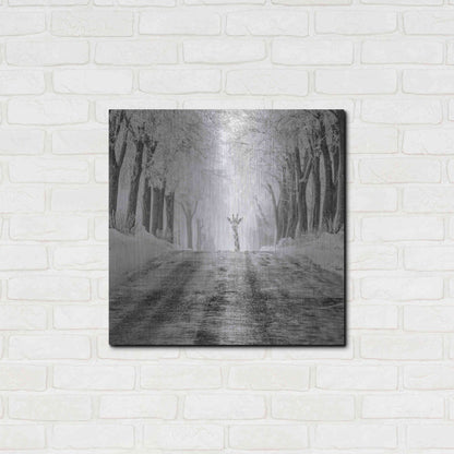 Luxe Metal Art 'Surprise' by Dariusz Klimczak, Metal Wall Art,24x24