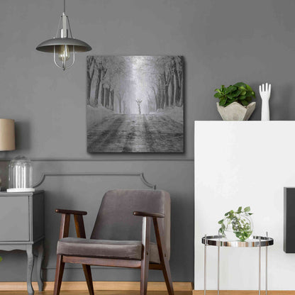 Luxe Metal Art 'Surprise' by Dariusz Klimczak, Metal Wall Art,24x24