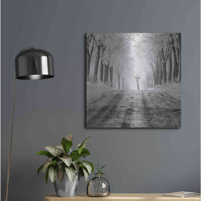 Luxe Metal Art 'Surprise' by Dariusz Klimczak, Metal Wall Art,24x24