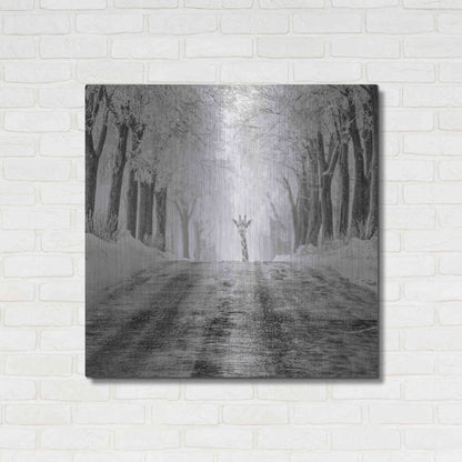 Luxe Metal Art 'Surprise' by Dariusz Klimczak, Metal Wall Art,36x36