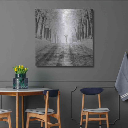 Luxe Metal Art 'Surprise' by Dariusz Klimczak, Metal Wall Art,36x36