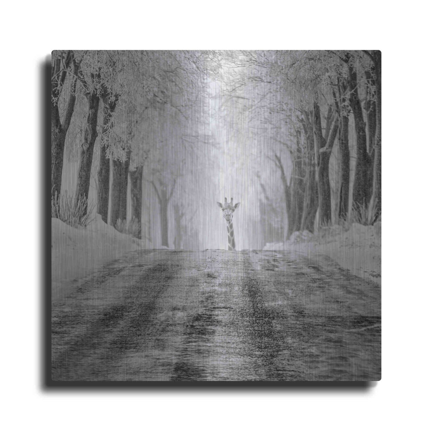 Luxe Metal Art 'Surprise' by Dariusz Klimczak, Metal Wall Art