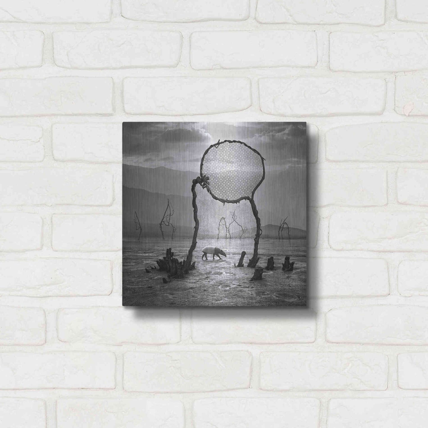 Luxe Metal Art 'Tapir' by Dariusz Klimczak, Metal Wall Art,12x12