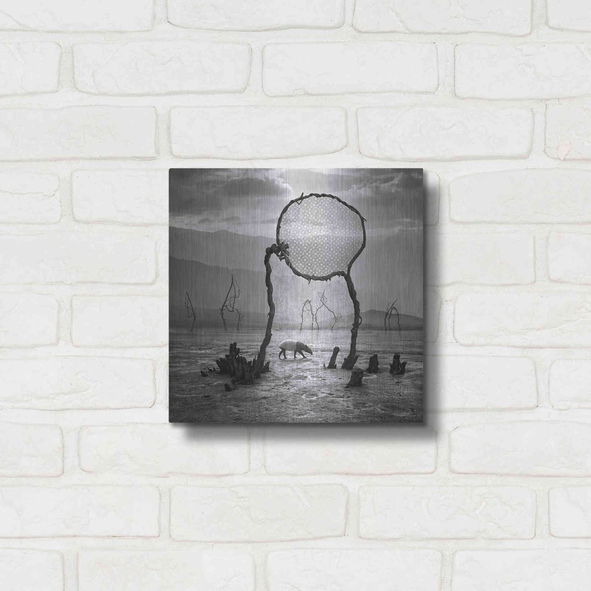 Luxe Metal Art 'Tapir' by Dariusz Klimczak, Metal Wall Art,12x12