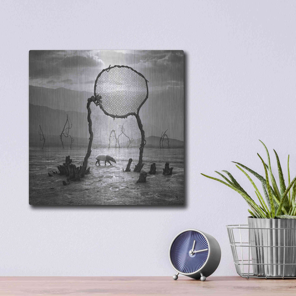 Luxe Metal Art 'Tapir' by Dariusz Klimczak, Metal Wall Art,12x12