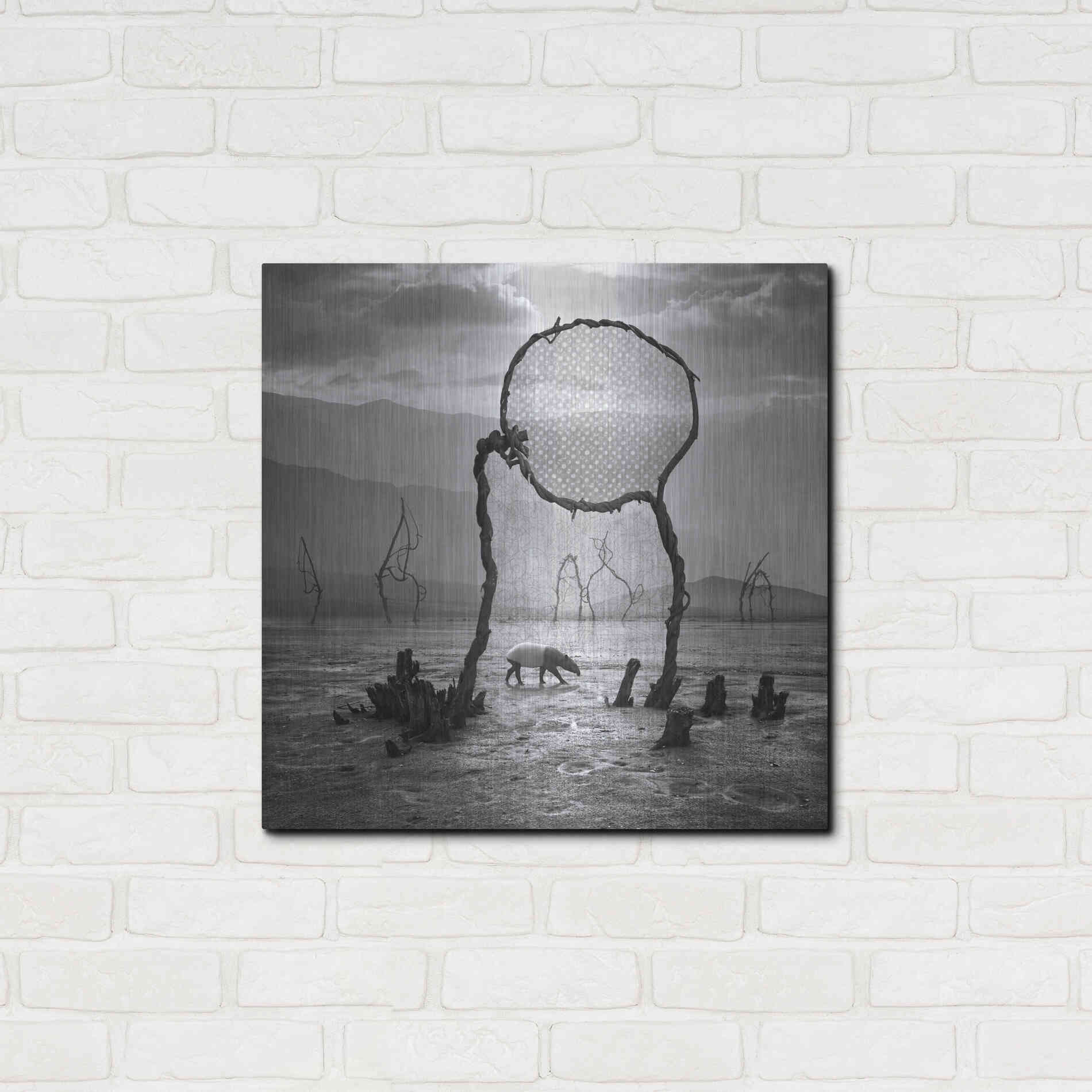 Luxe Metal Art 'Tapir' by Dariusz Klimczak, Metal Wall Art,24x24