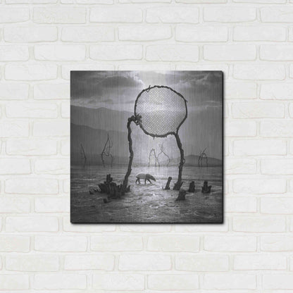Luxe Metal Art 'Tapir' by Dariusz Klimczak, Metal Wall Art,24x24