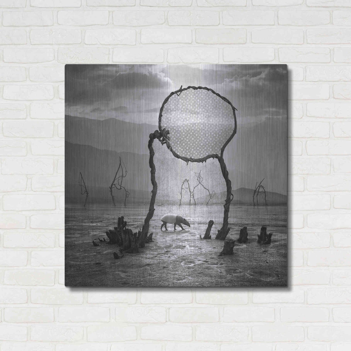 Luxe Metal Art 'Tapir' by Dariusz Klimczak, Metal Wall Art,36x36