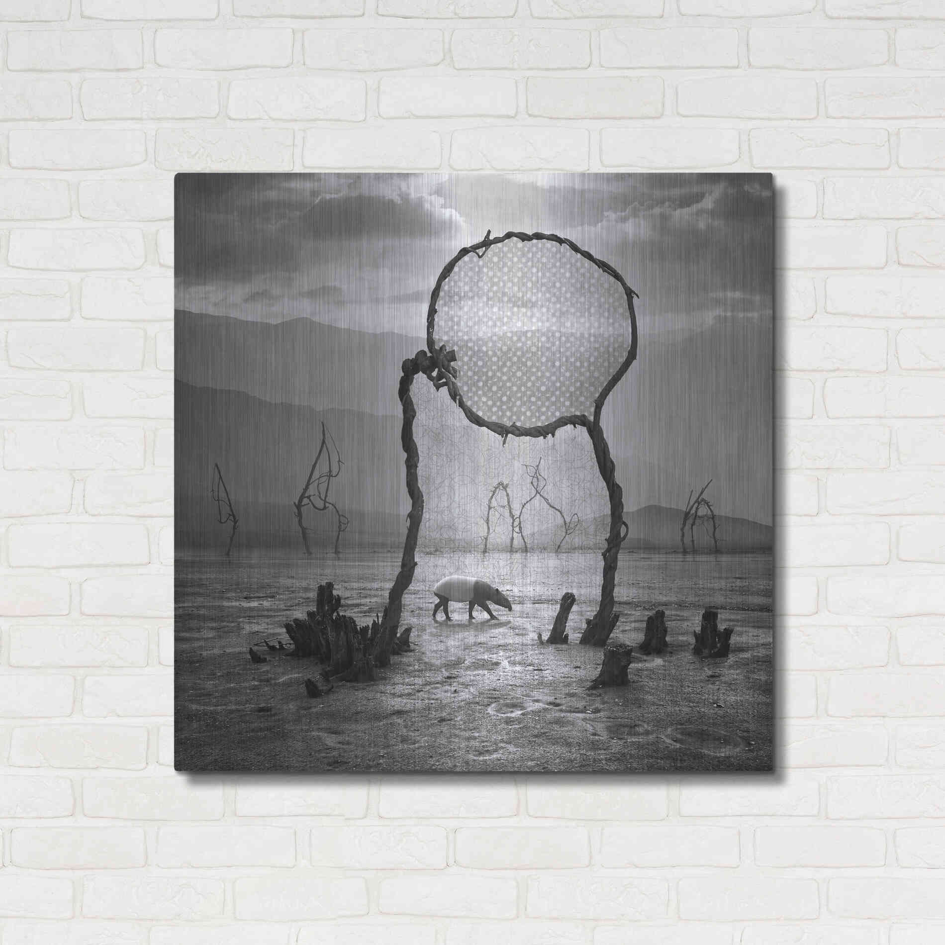 Luxe Metal Art 'Tapir' by Dariusz Klimczak, Metal Wall Art,36x36