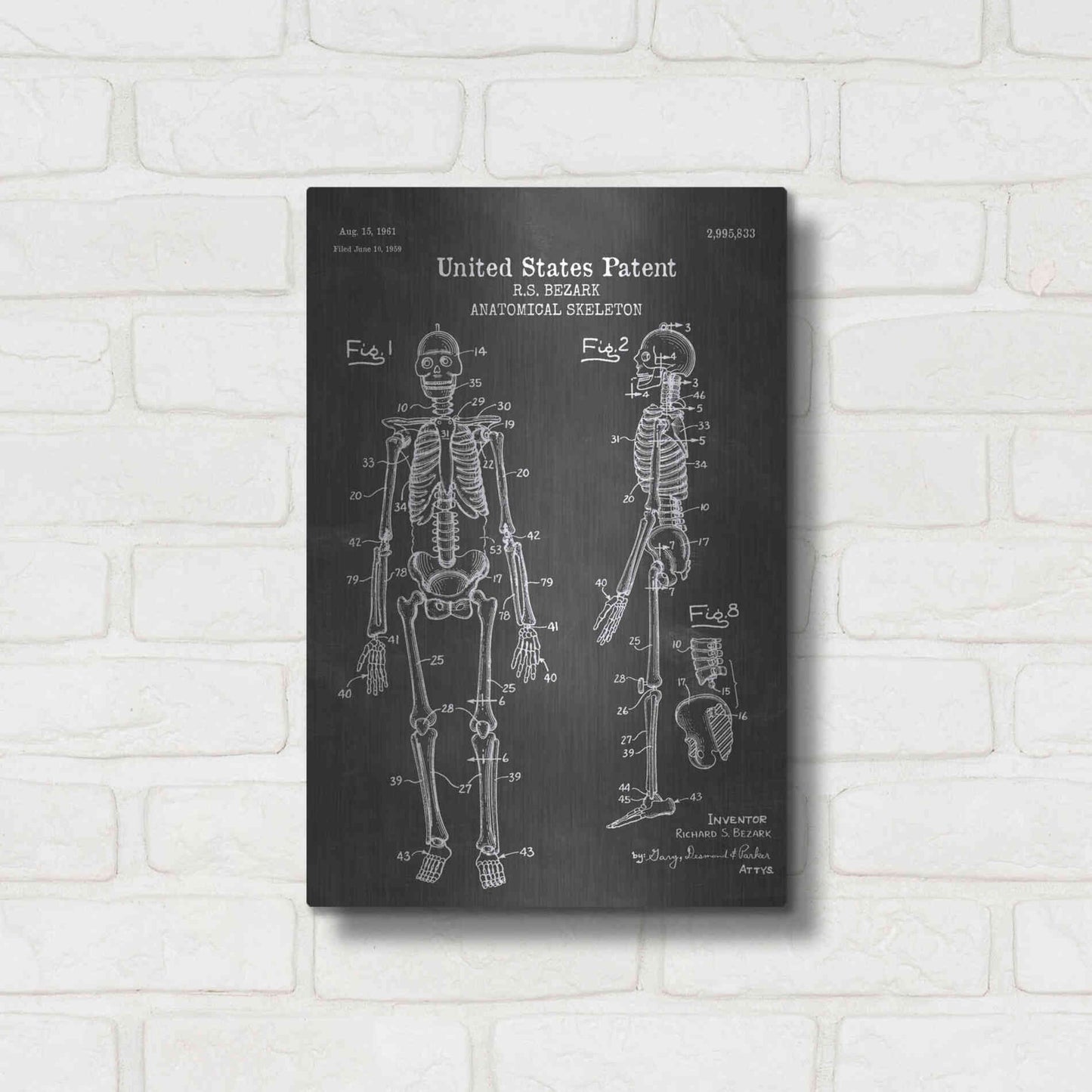 Luxe Metal Art 'Anatomical Skeleton Blueprint Patent Chalkboard' Metal Wall Art,12x16