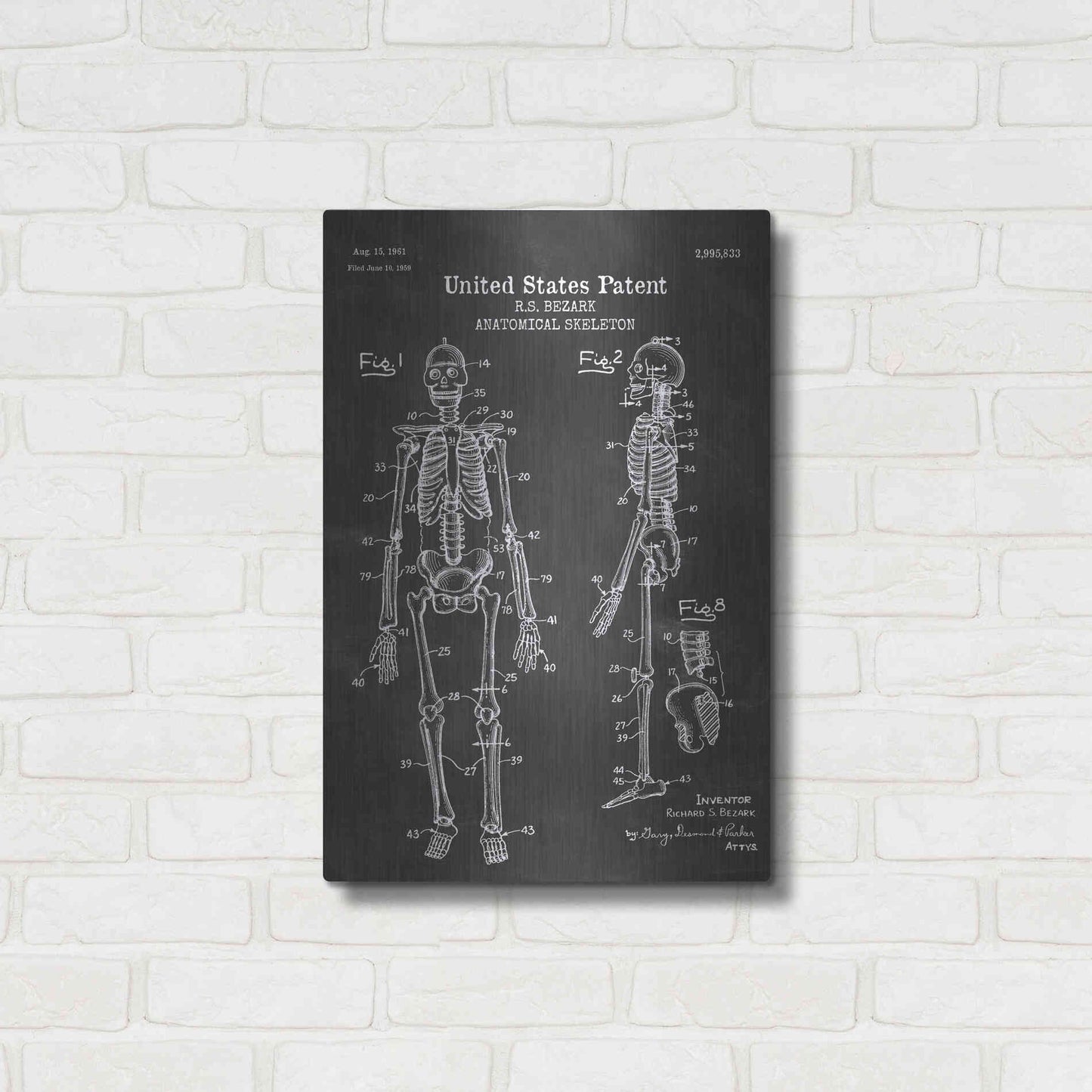 Luxe Metal Art 'Anatomical Skeleton Blueprint Patent Chalkboard' Metal Wall Art,16x24