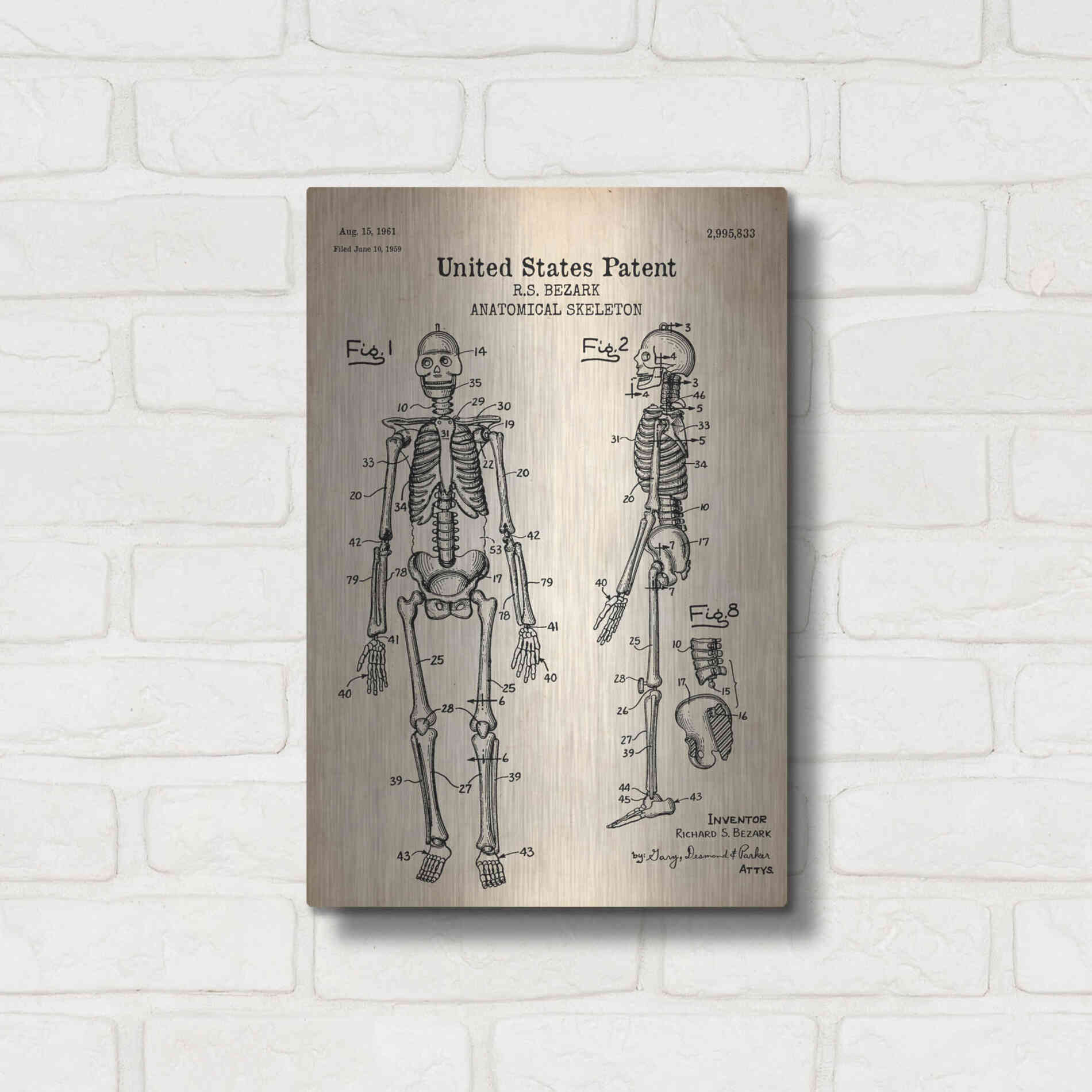 Luxe Metal Art 'Anatomical Skeleton Blueprint Patent Parchment' Metal Wall Art,12x16