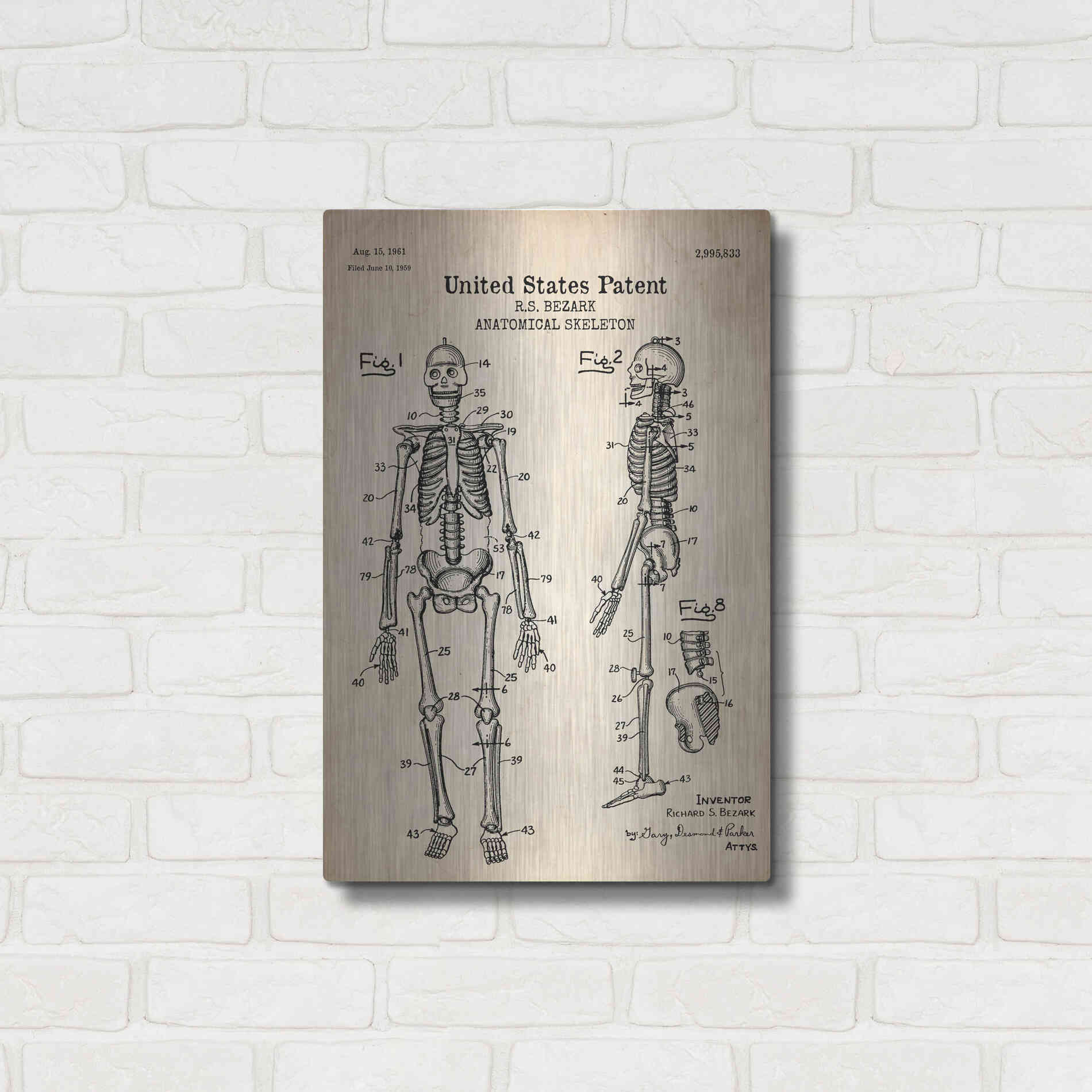 Luxe Metal Art 'Anatomical Skeleton Blueprint Patent Parchment' Metal Wall Art,16x24