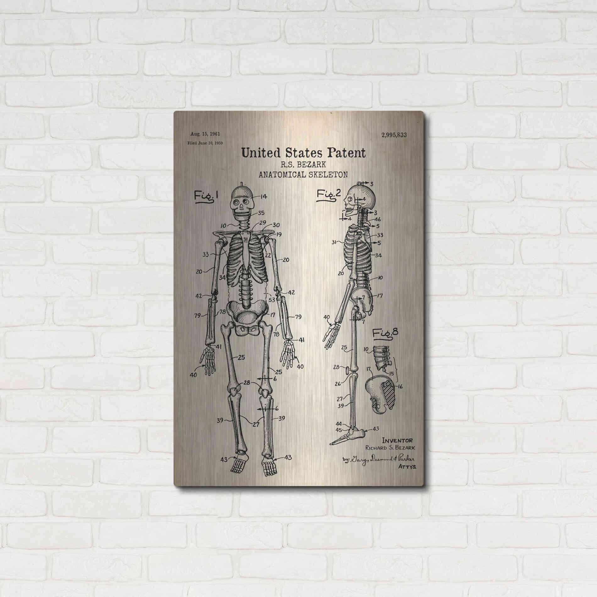 Luxe Metal Art 'Anatomical Skeleton Blueprint Patent Parchment' Metal Wall Art,24x36