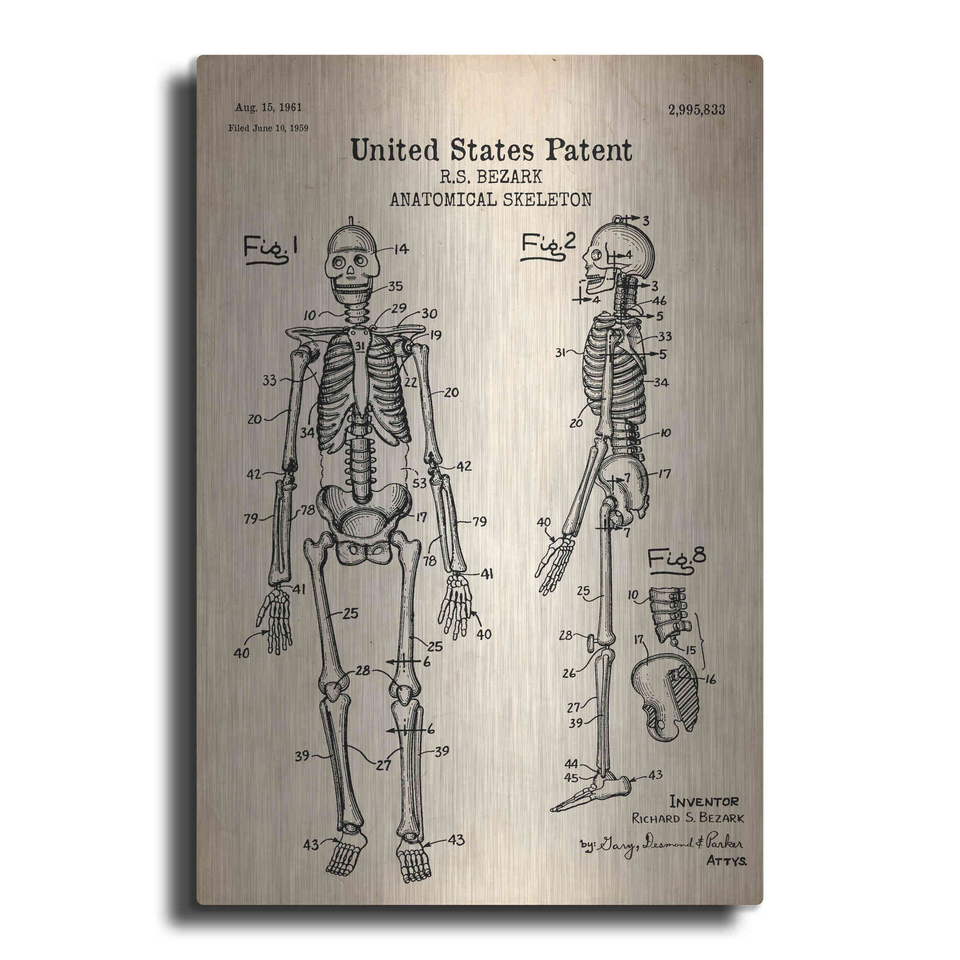 Luxe Metal Art 'Anatomical Skeleton Blueprint Patent Parchment' Metal Wall Art
