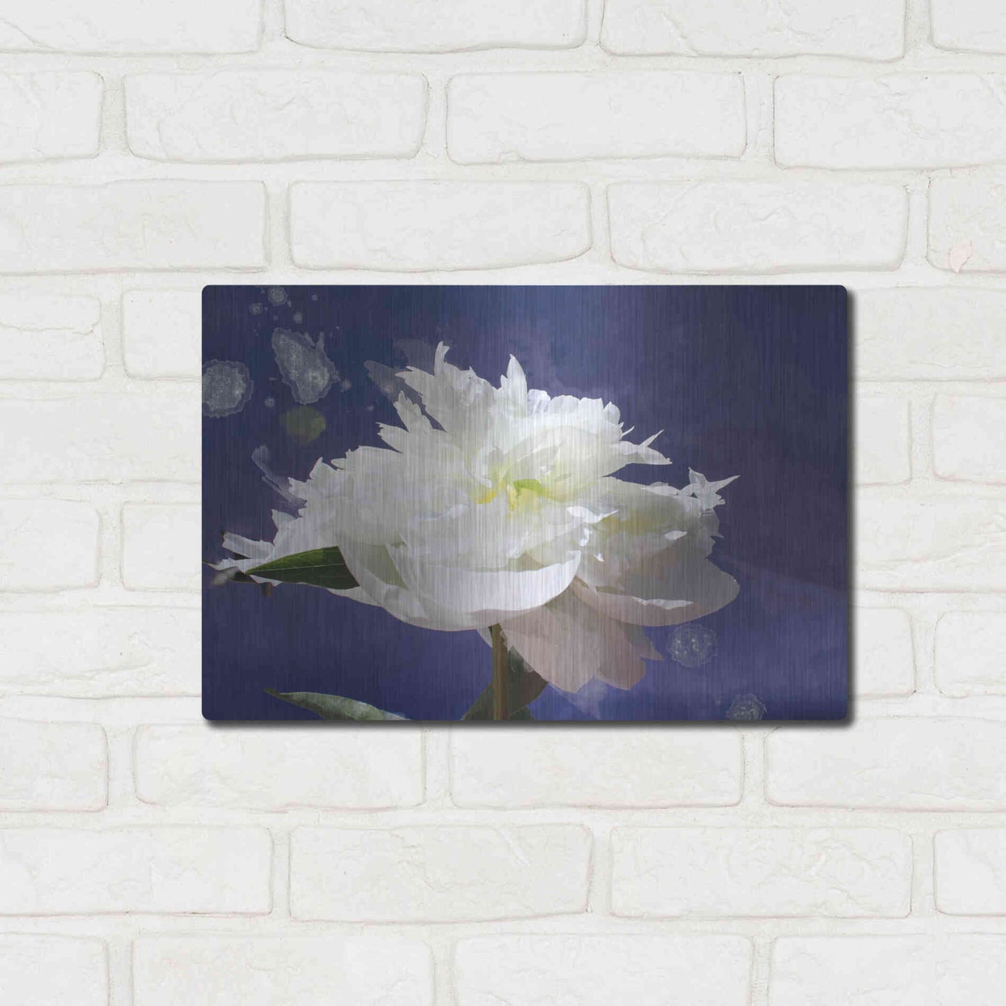 Luxe Metal Art 'White Peony-Scents of Heaven' by Irena Orlov, Metal Wall Art,16x12