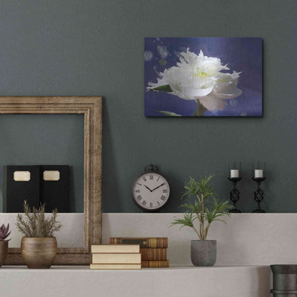 Luxe Metal Art 'White Peony-Scents of Heaven' by Irena Orlov, Metal Wall Art,16x12