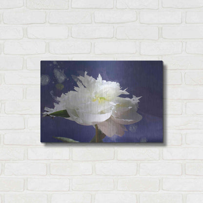 Luxe Metal Art 'White Peony-Scents of Heaven' by Irena Orlov, Metal Wall Art,24x16