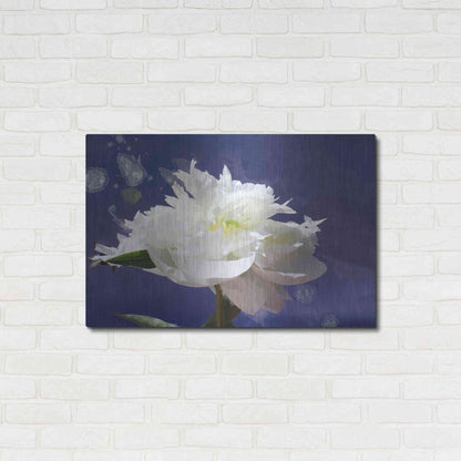 Luxe Metal Art 'White Peony-Scents of Heaven' by Irena Orlov, Metal Wall Art,36x24