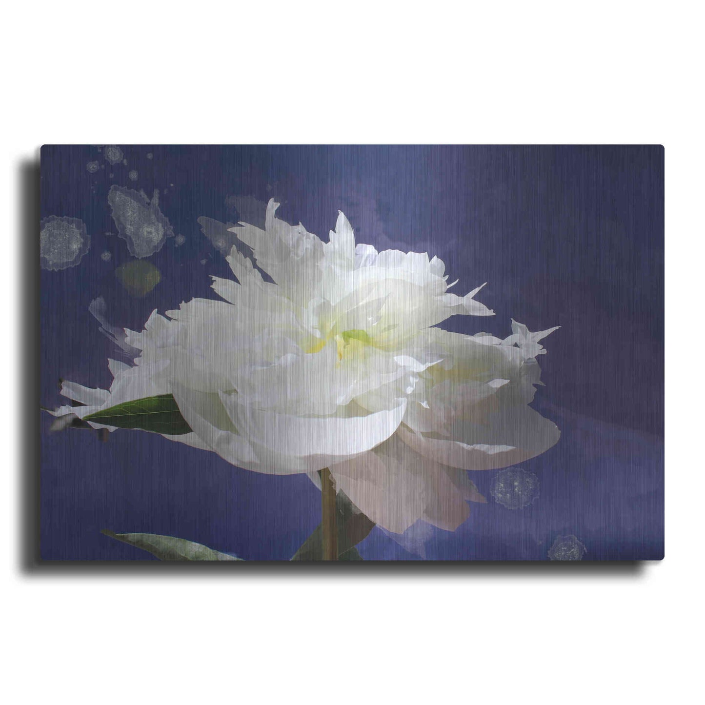 Luxe Metal Art 'White Peony-Scents of Heaven' by Irena Orlov, Metal Wall Art