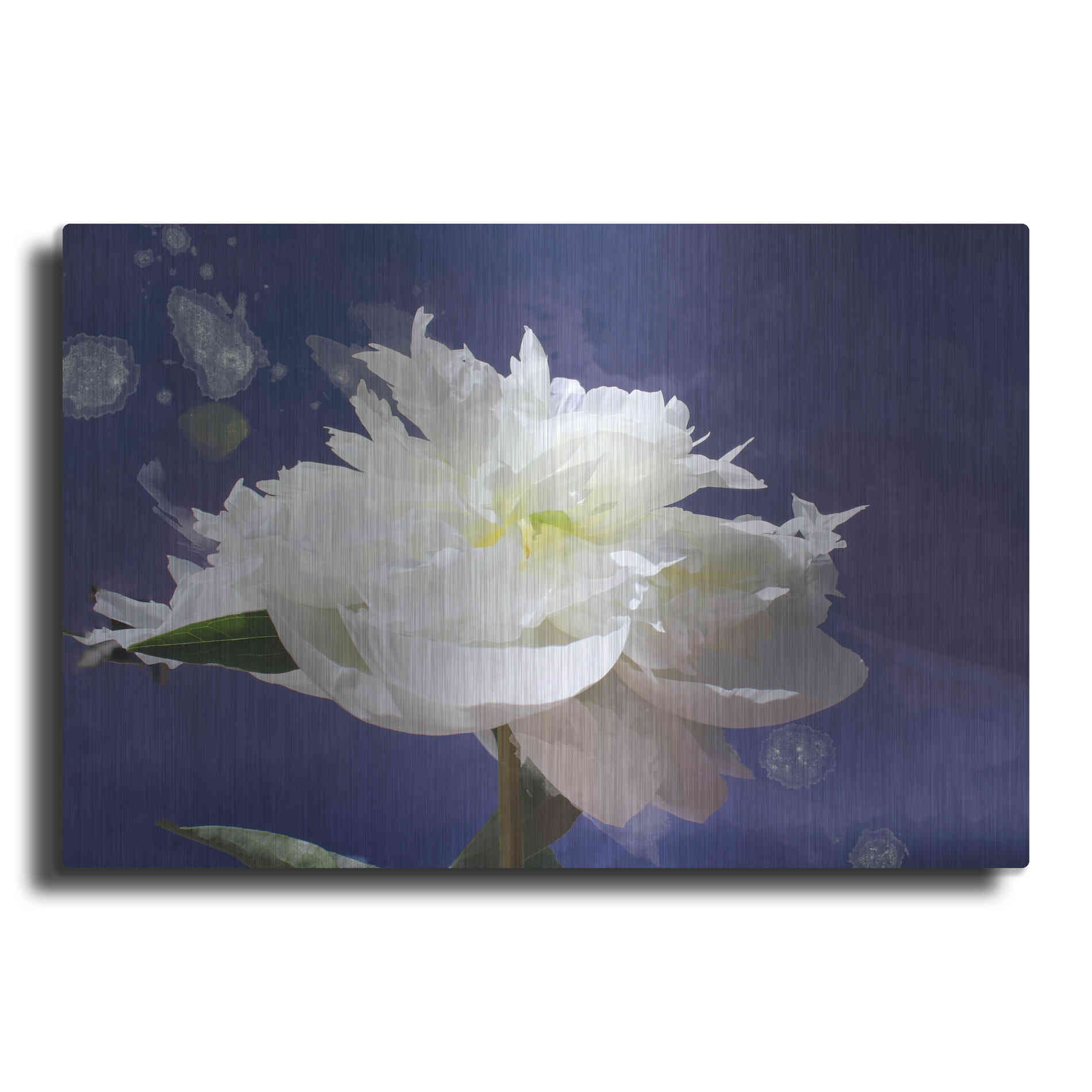 Luxe Metal Art 'White Peony-Scents of Heaven' by Irena Orlov, Metal Wall Art