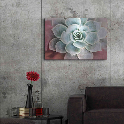 Luxe Metal Art 'Succulent Garden' by Irena Orlov, Metal Wall Art,36x24