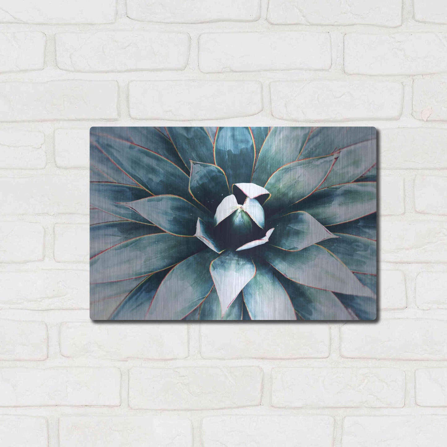 Luxe Metal Art 'Tropical Star' by Irena Orlov, Metal Wall Art,16x12