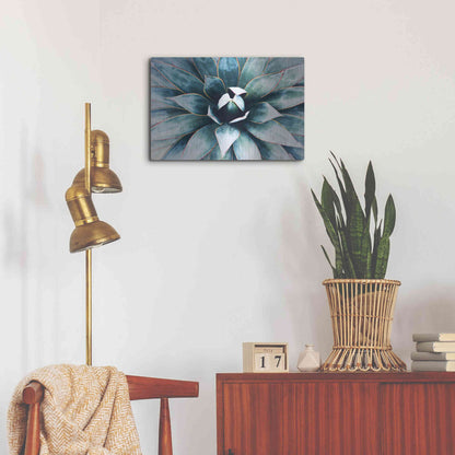 Luxe Metal Art 'Tropical Star' by Irena Orlov, Metal Wall Art,24x16