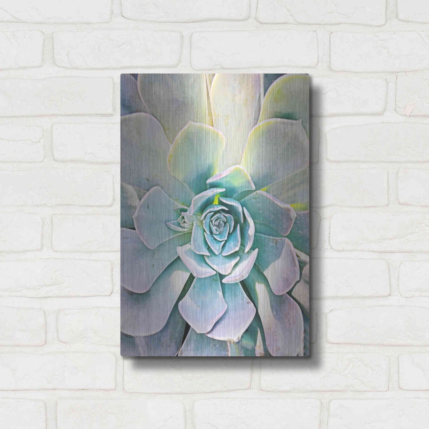 Luxe Metal Art 'Unique Succulent' by Irena Orlov, Metal Wall Art,12x16