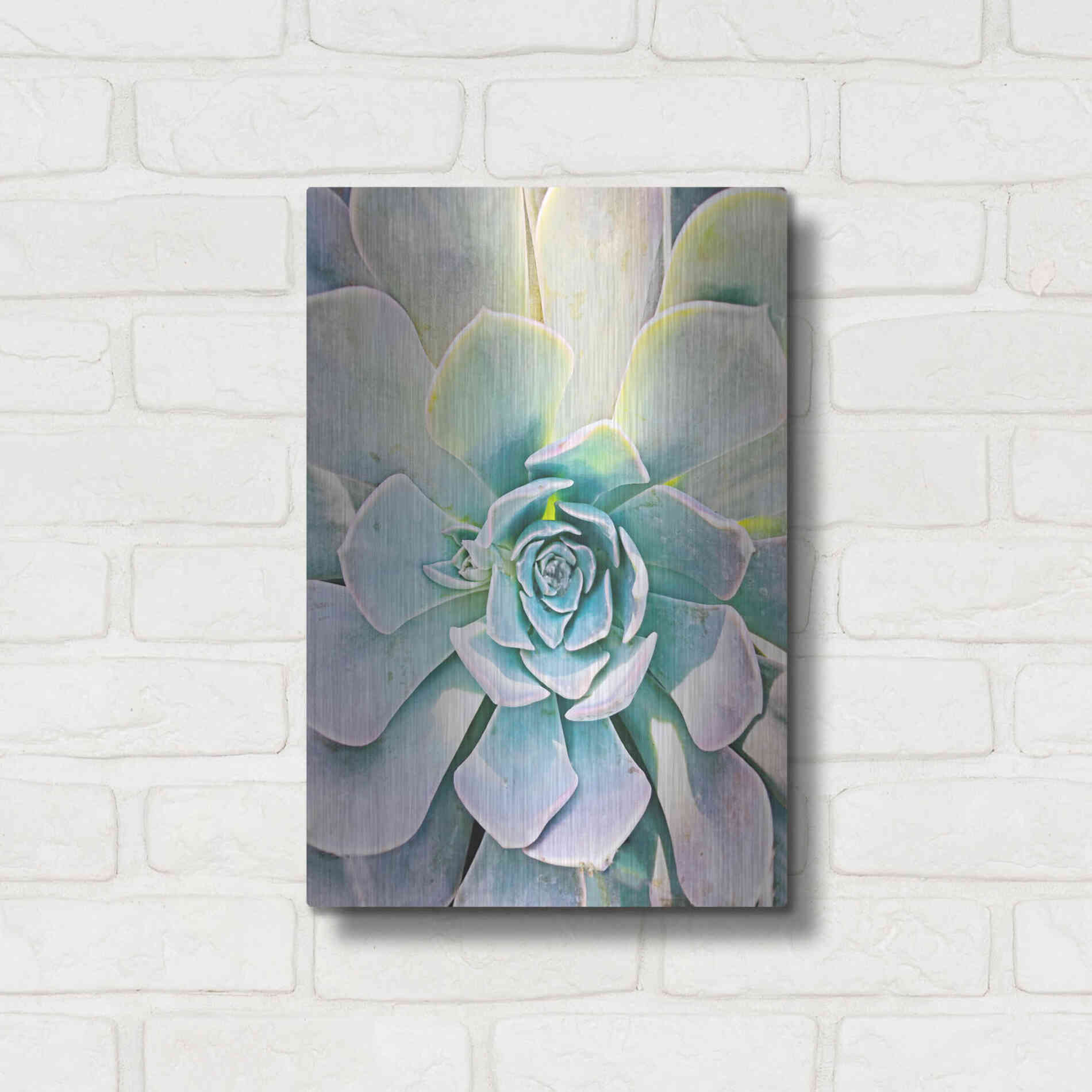 Luxe Metal Art 'Unique Succulent' by Irena Orlov, Metal Wall Art,12x16