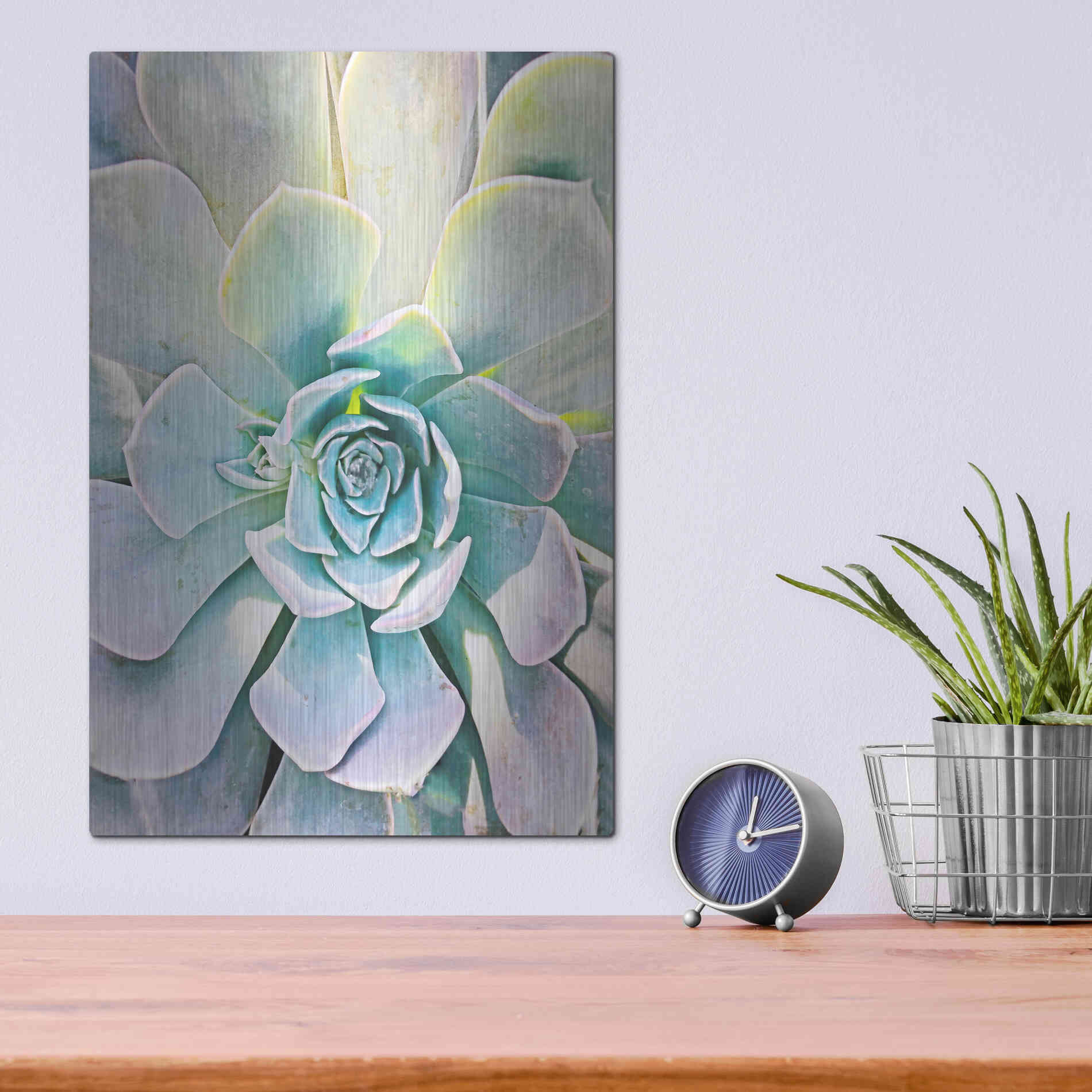 Luxe Metal Art 'Unique Succulent' by Irena Orlov, Metal Wall Art,12x16