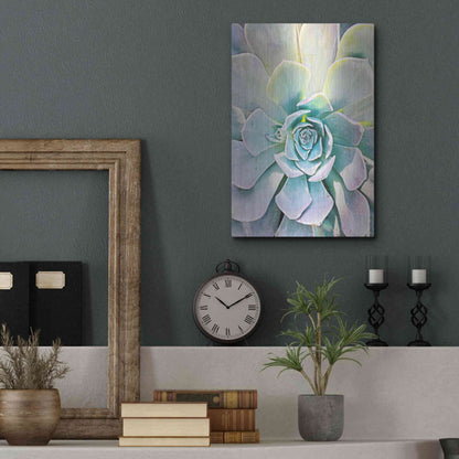 Luxe Metal Art 'Unique Succulent' by Irena Orlov, Metal Wall Art,12x16