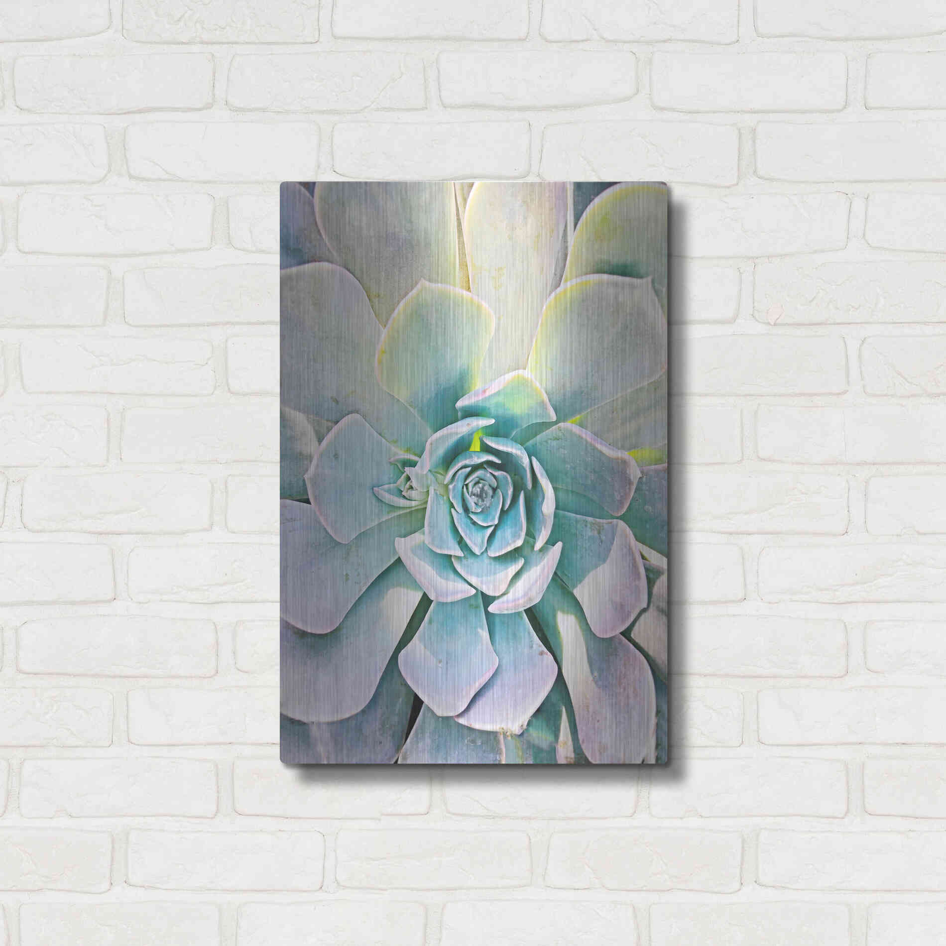 Luxe Metal Art 'Unique Succulent' by Irena Orlov, Metal Wall Art,16x24