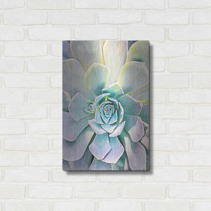 Luxe Metal Art 'Unique Succulent' by Irena Orlov, Metal Wall Art,16x24