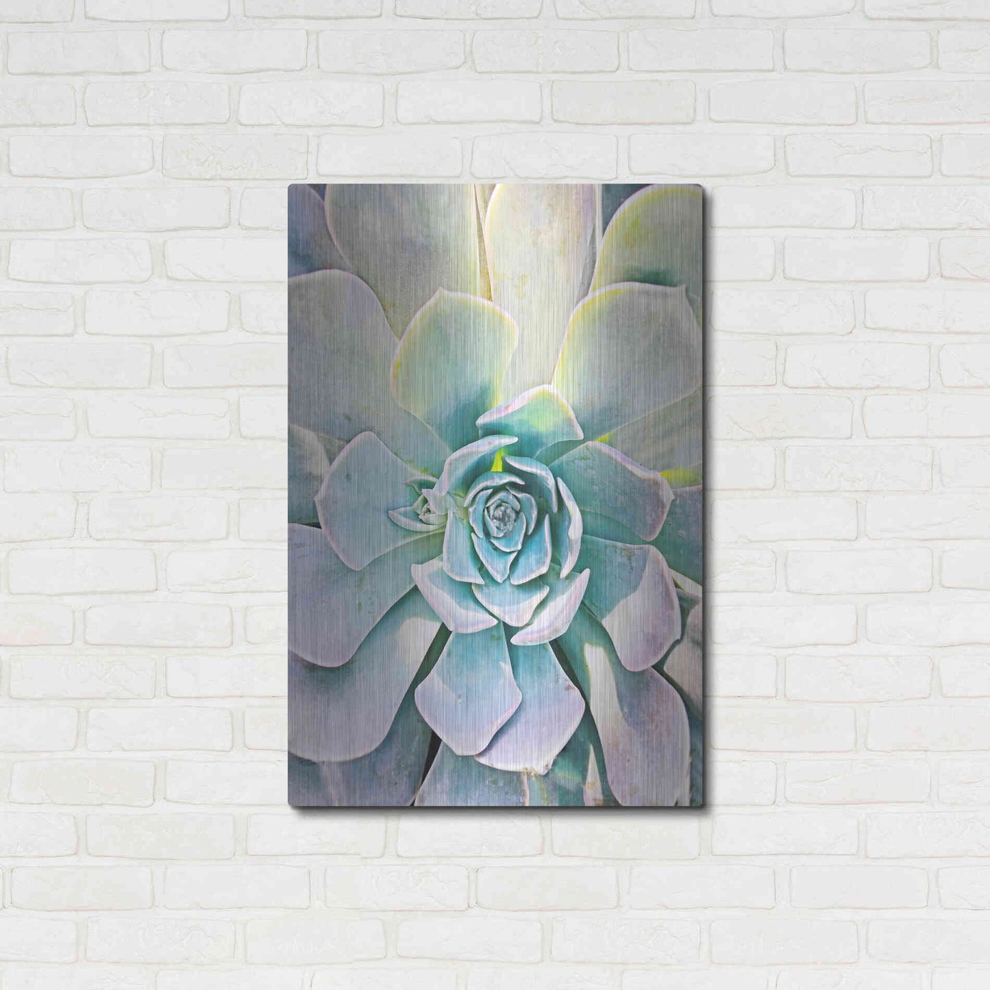 Luxe Metal Art 'Unique Succulent' by Irena Orlov, Metal Wall Art,24x36
