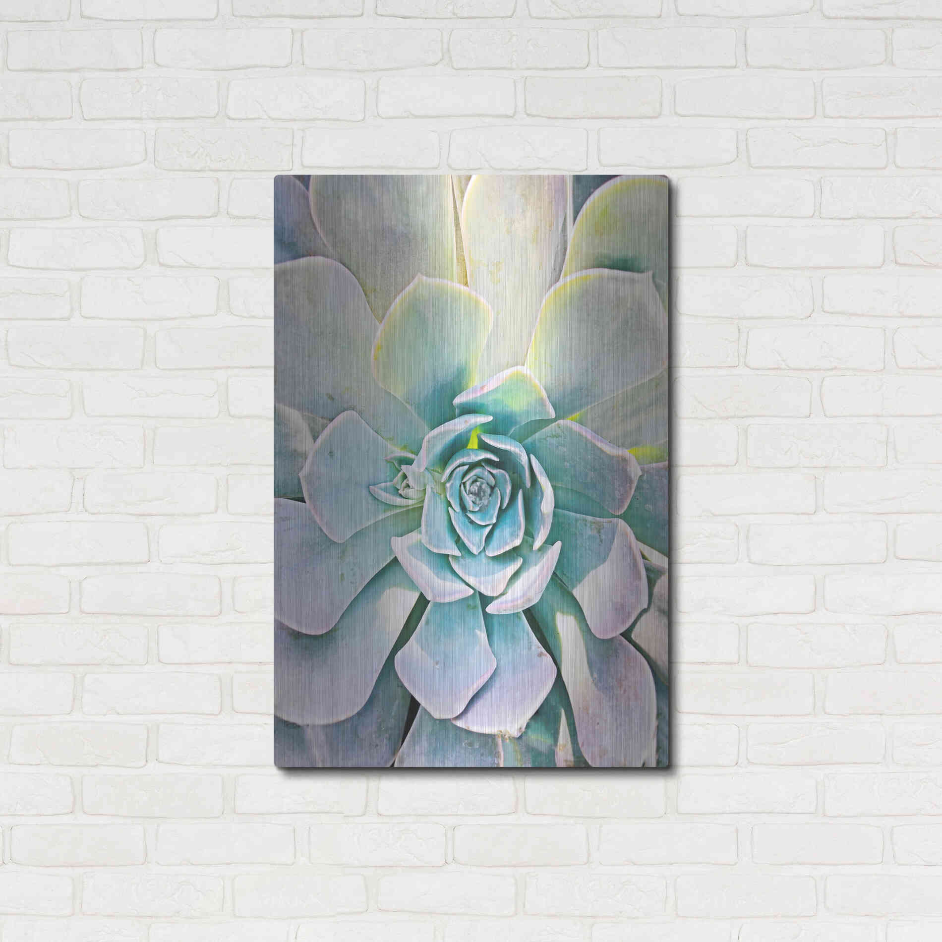 Luxe Metal Art 'Unique Succulent' by Irena Orlov, Metal Wall Art,24x36