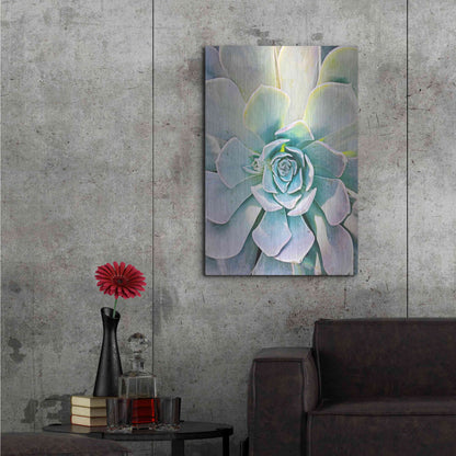 Luxe Metal Art 'Unique Succulent' by Irena Orlov, Metal Wall Art,24x36