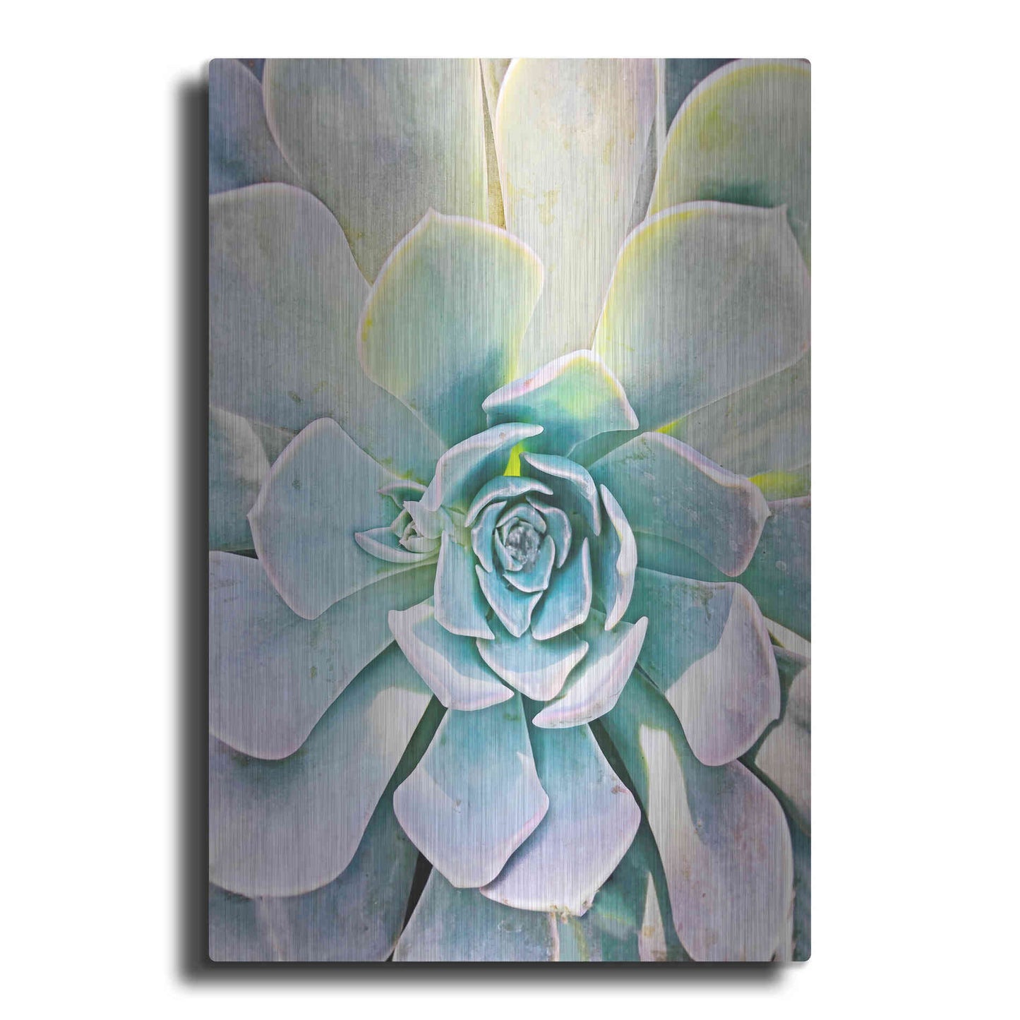 Luxe Metal Art 'Unique Succulent' by Irena Orlov, Metal Wall Art