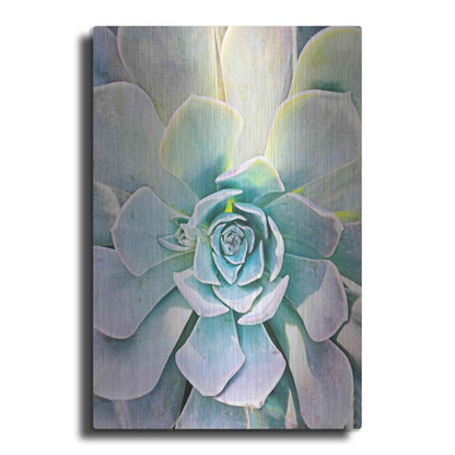 Luxe Metal Art 'Unique Succulent' by Irena Orlov, Metal Wall Art