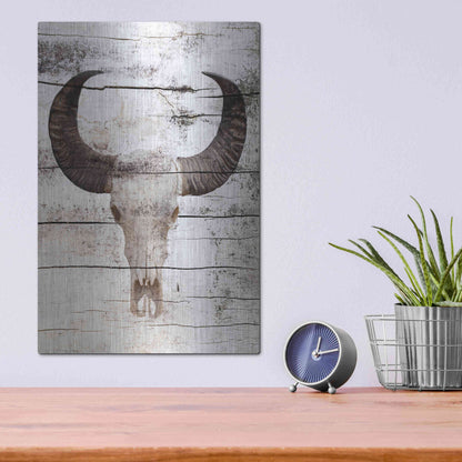 Luxe Metal Art 'Bullock Skull' by Irena Orlov, Metal Wall Art,12x16
