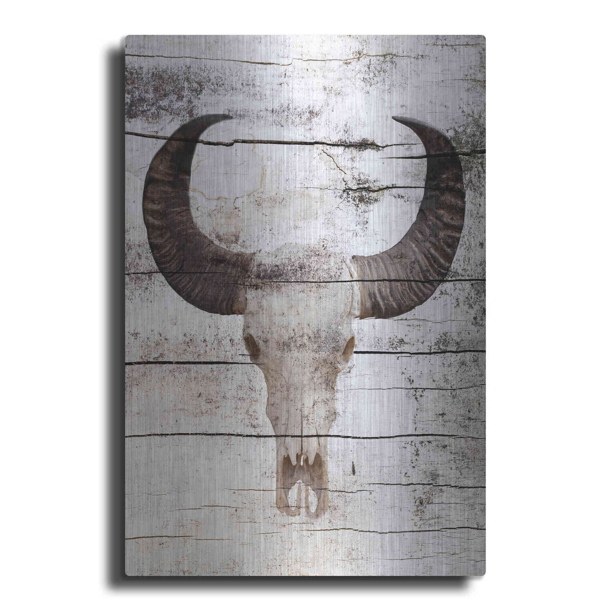 Luxe Metal Art 'Bullock Skull' by Irena Orlov, Metal Wall Art