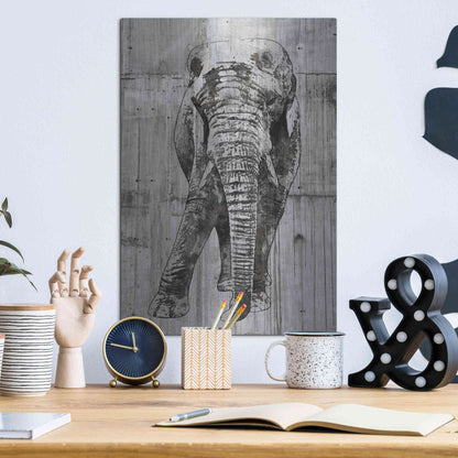 Luxe Metal Art 'ELEPHANT Portrait' by Irena Orlov, Metal Wall Art,12x16