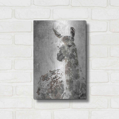 Luxe Metal Art 'Llama' by Irena Orlov, Metal Wall Art,12x16