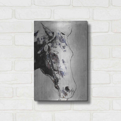 Luxe Metal Art 'Morgan Horse-Black Beauty' by Irena Orlov, Metal Wall Art,12x16