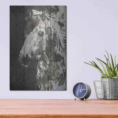 Luxe Metal Art 'SPIRIT EYE Horse' by Irena Orlov, Metal Wall Art,12x16