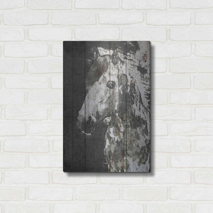 Luxe Metal Art 'SPIRIT EYE Horse' by Irena Orlov, Metal Wall Art,16x24