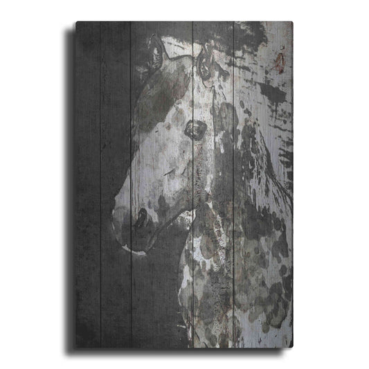 Luxe Metal Art 'SPIRIT EYE Horse' by Irena Orlov, Metal Wall Art