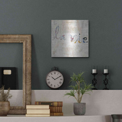 Luxe Metal Art 'La Vie' by Karen Smith, Metal Wall Art,12x12