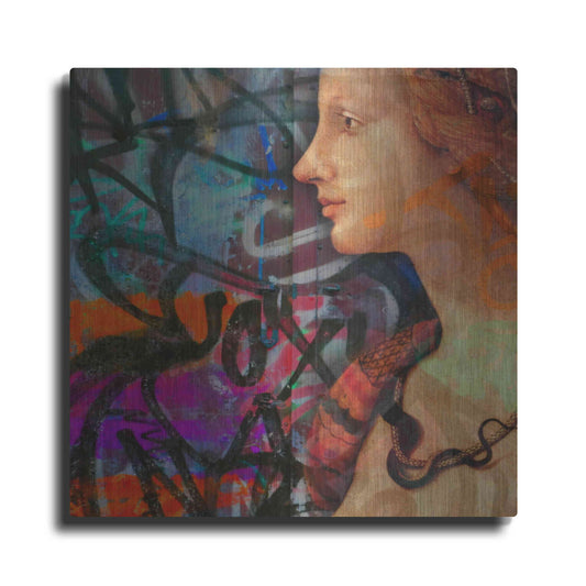 Luxe Metal Art 'Classic Graffiti 2' by Karen Smith, Metal Wall Art