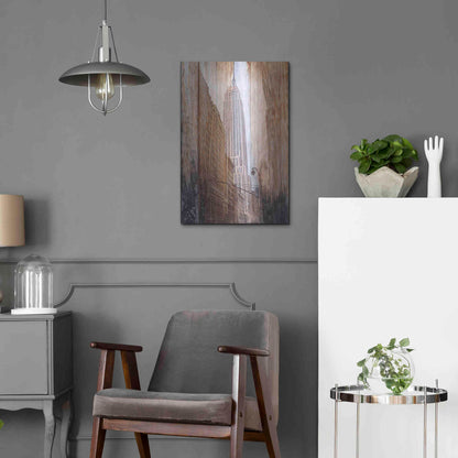 Luxe Metal Art 'Rustic ESB' by Karen Smith, Metal Wall Art,16x24